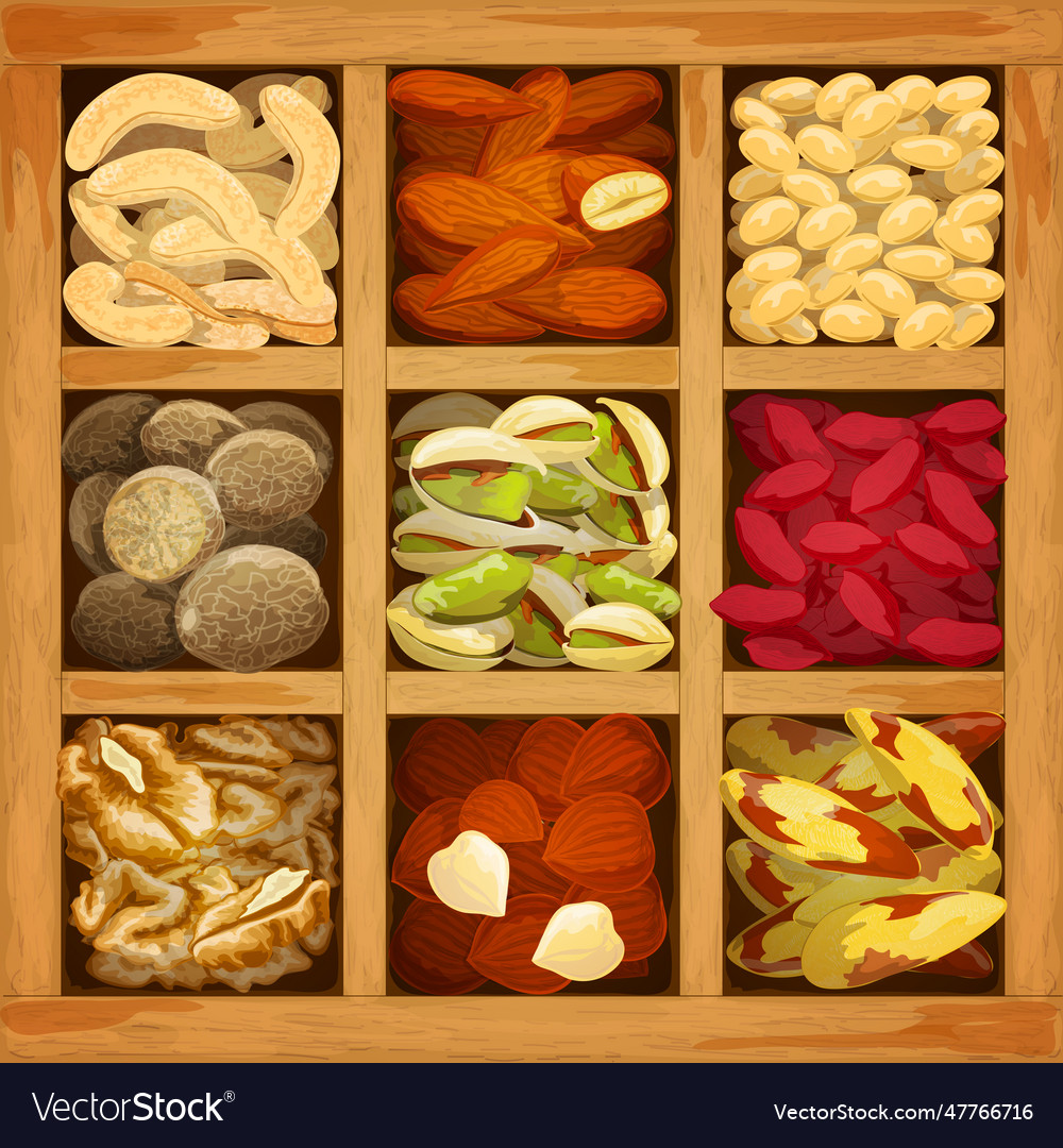 Nuts collection assorted Vector Image Nuts collection assorted