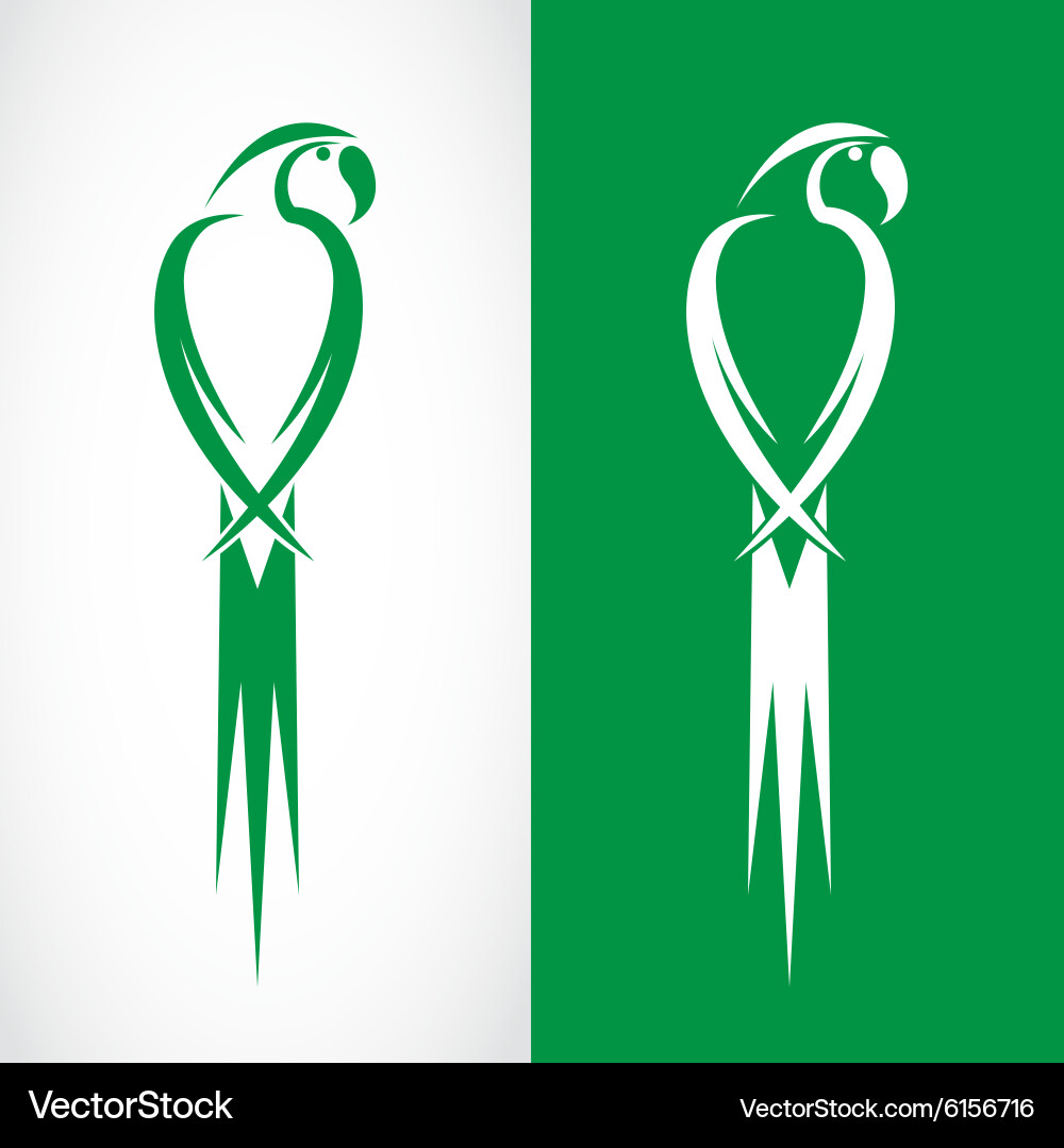 Parrot design Royalty Free Vector Image - VectorStock