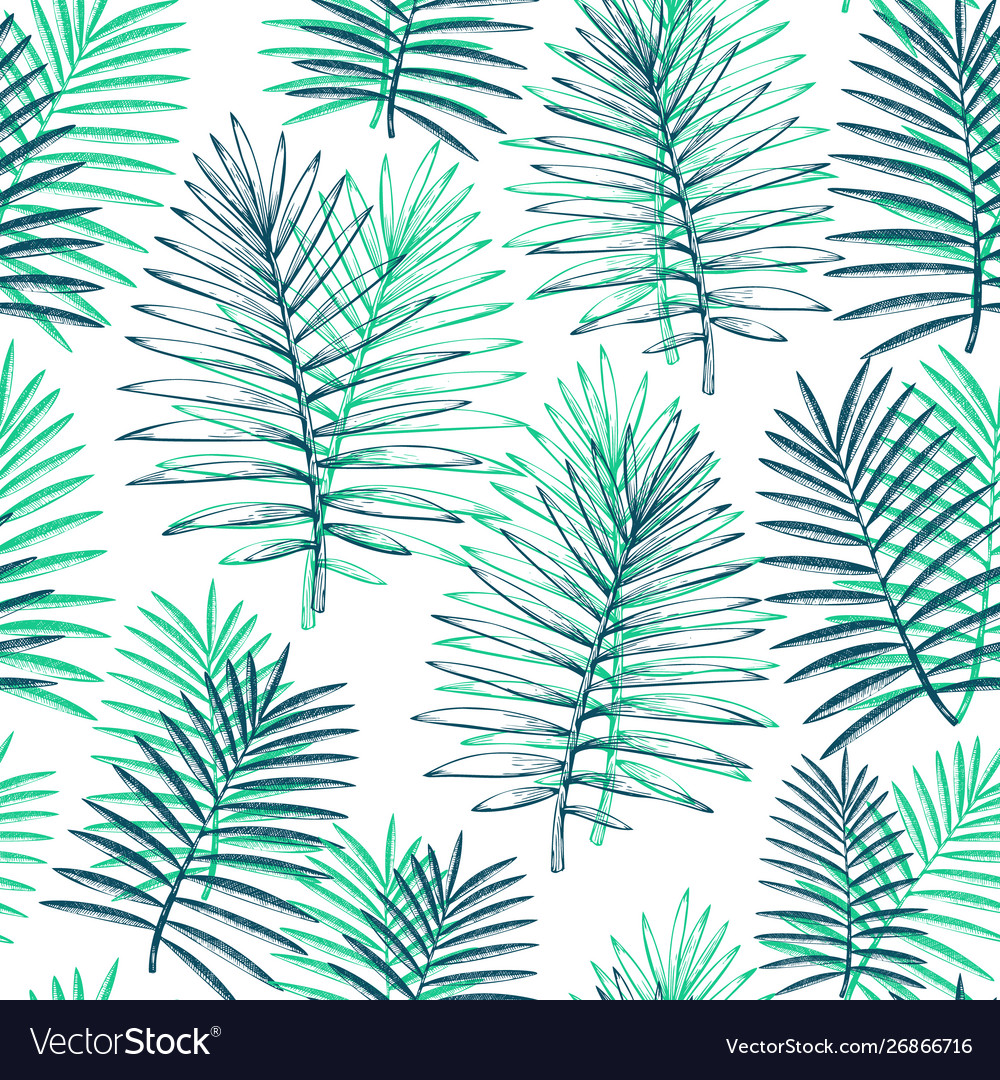 Tropical plants seamless pattern hand drawn Vector Image