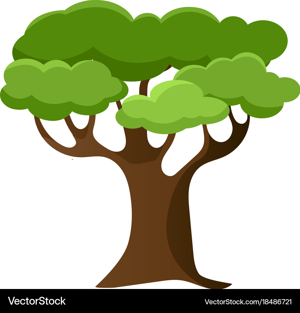 Isolated tree Royalty Free Vector Image - VectorStock