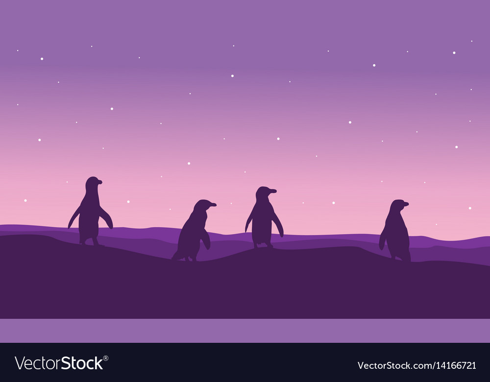 Silhouette of penguin on purple background