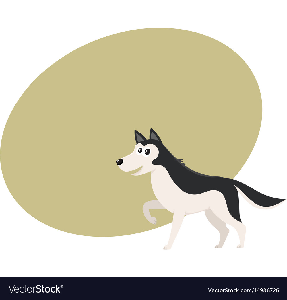 Cute black and white husky dog character