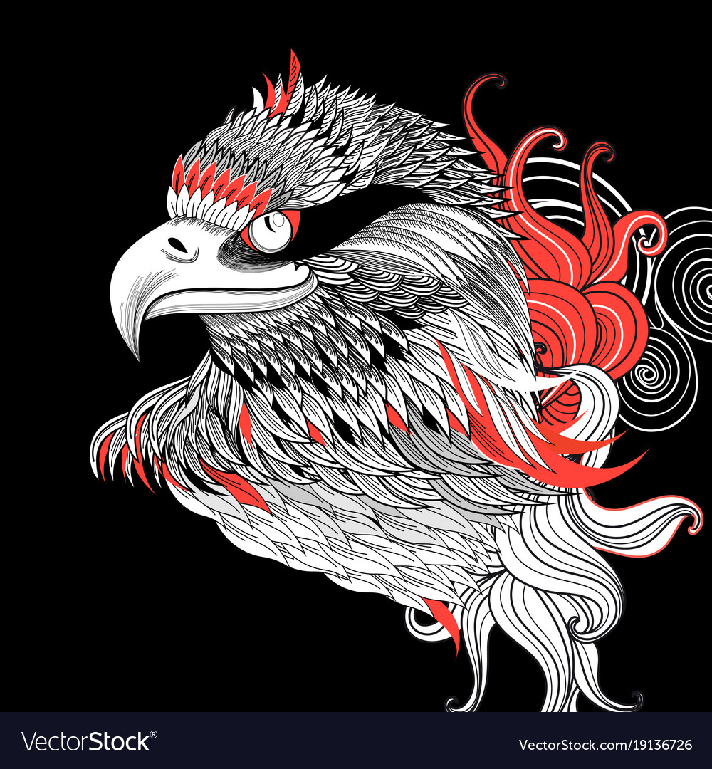 Dramatic Eagle Portrait