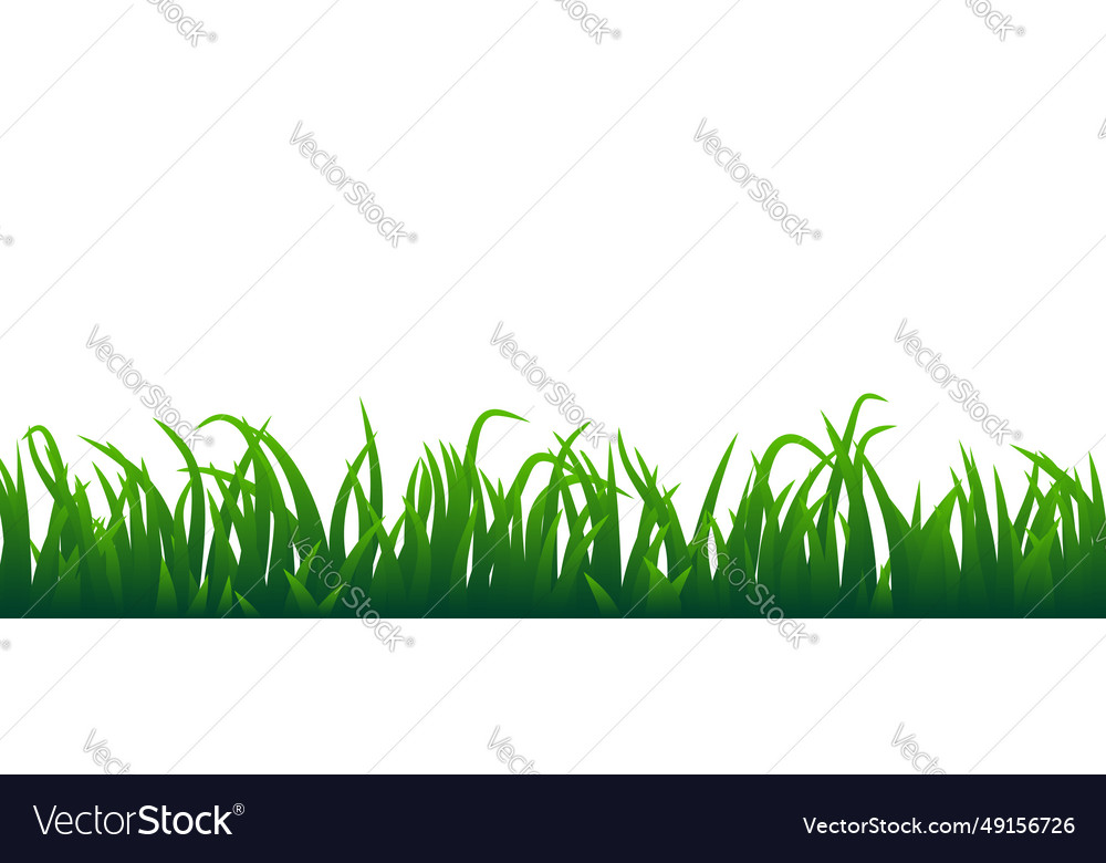 Grünes Gras auf weißem Hintergrund