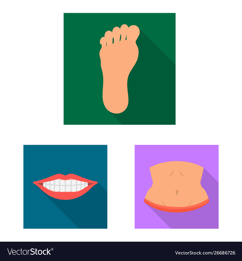 Isolated object body and part logo collection vector image Isolated object body and part logo collection