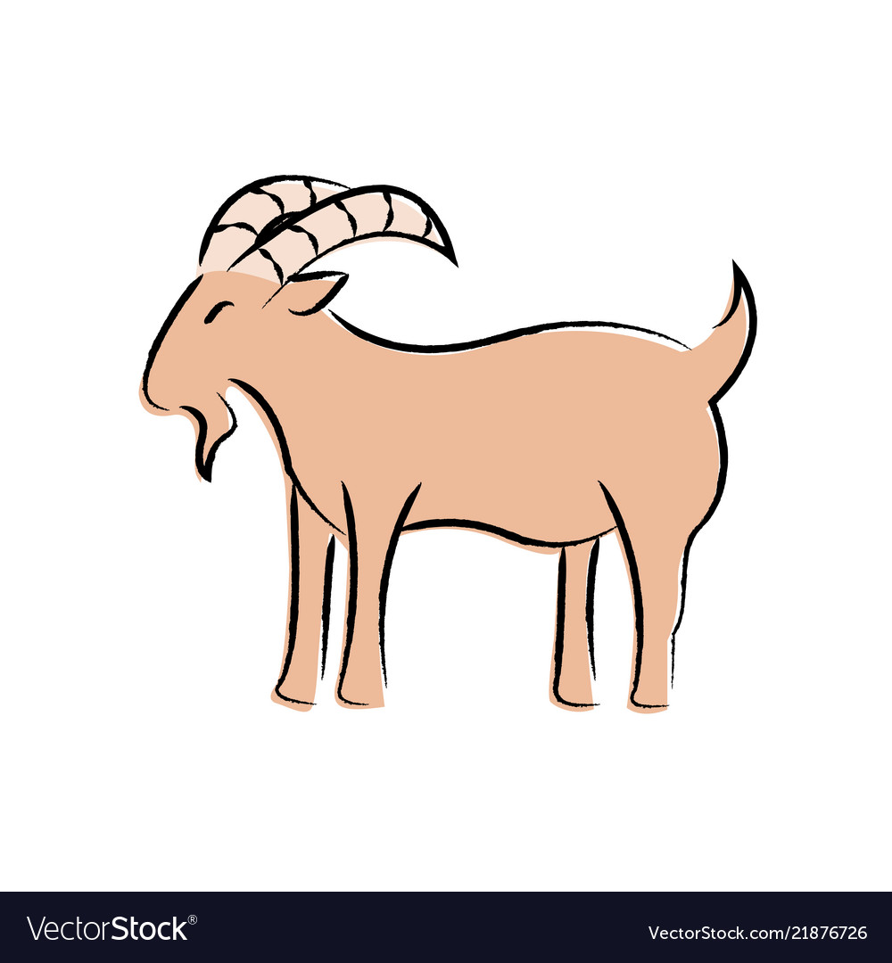 goat drawing outline