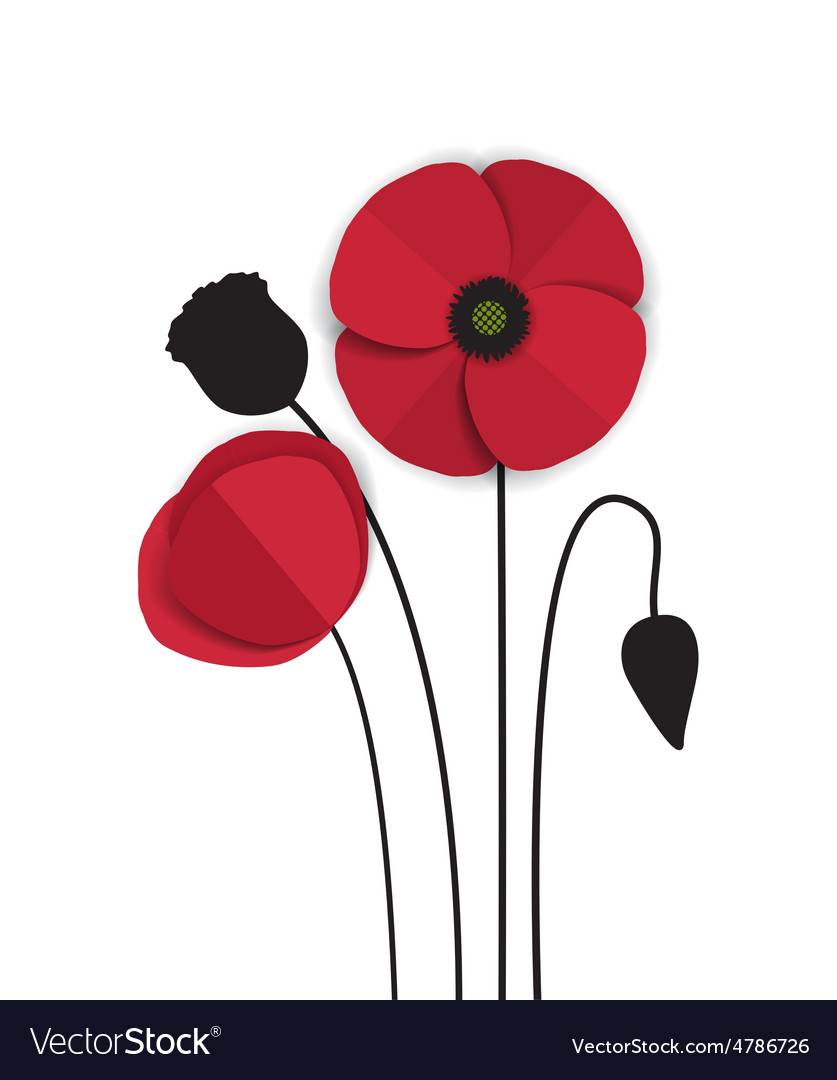 Red Poppy Royalty Free Vector Image Vectorstock Red Poppy Royalty Free Vector Image Vectorstock