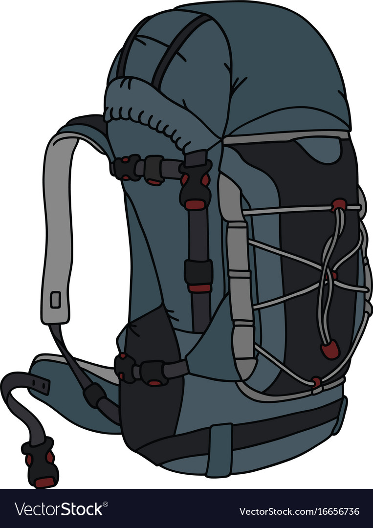 blue and gray backpack