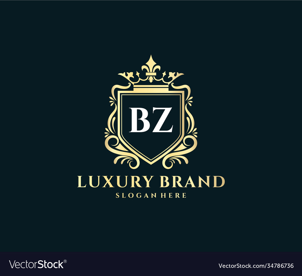 Bz initial letter gold calligraphic feminine Vector Image