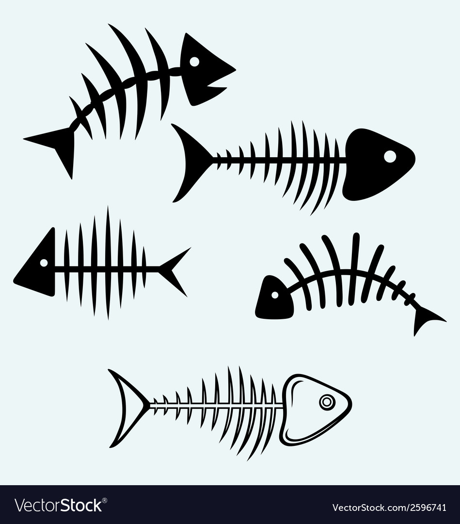 Download Fish bone Royalty Free Vector Image - VectorStock