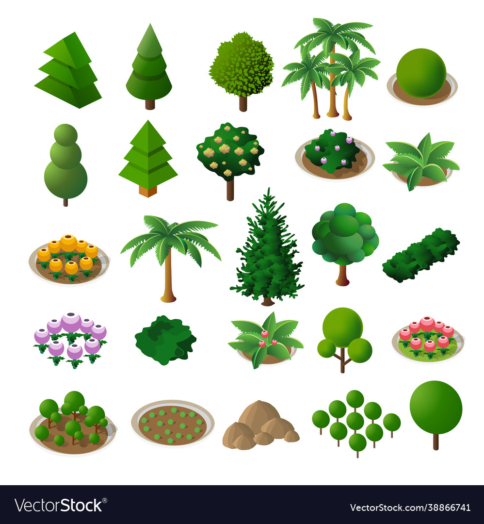 Set isometric 3d trees forest nature elements Vector Image