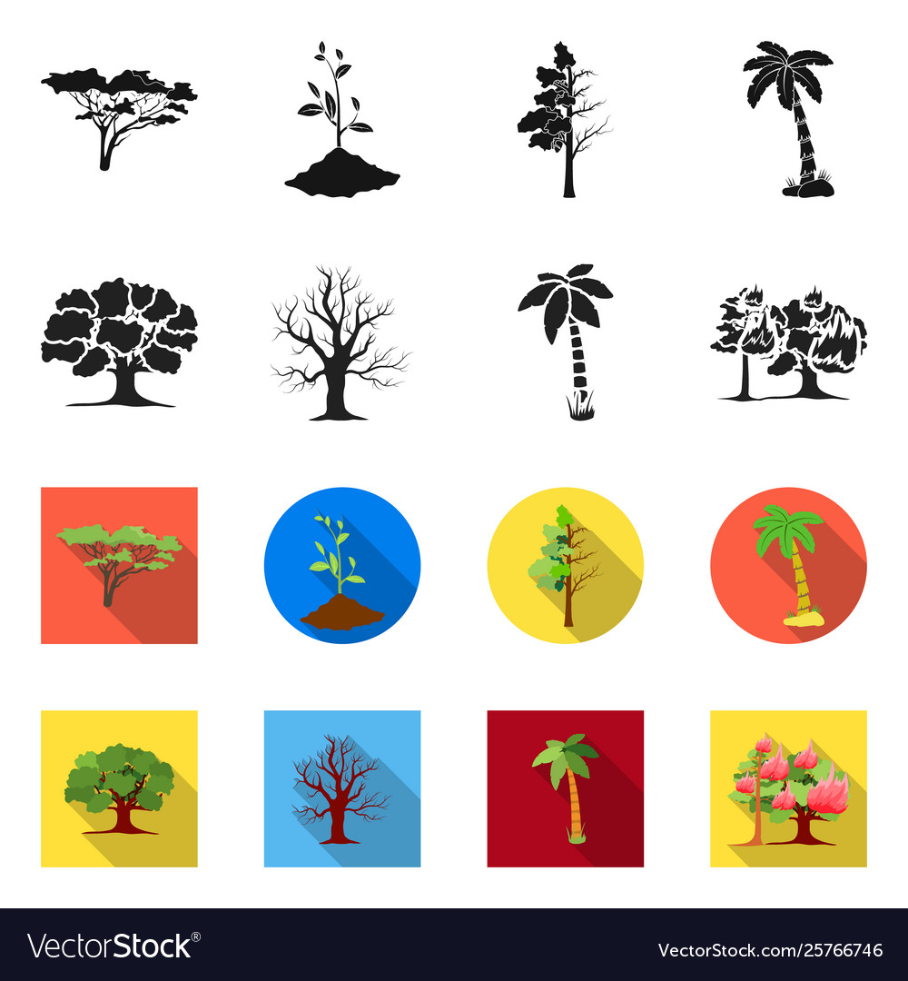 Isolated object tree and forest sign
