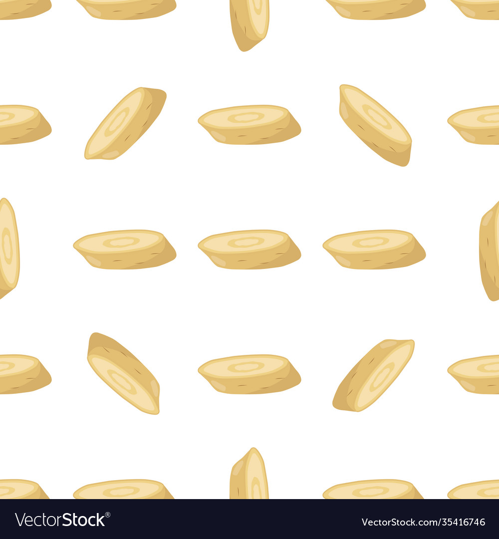 On theme pattern plant parsnip Vector Image On theme pattern plant parsnip