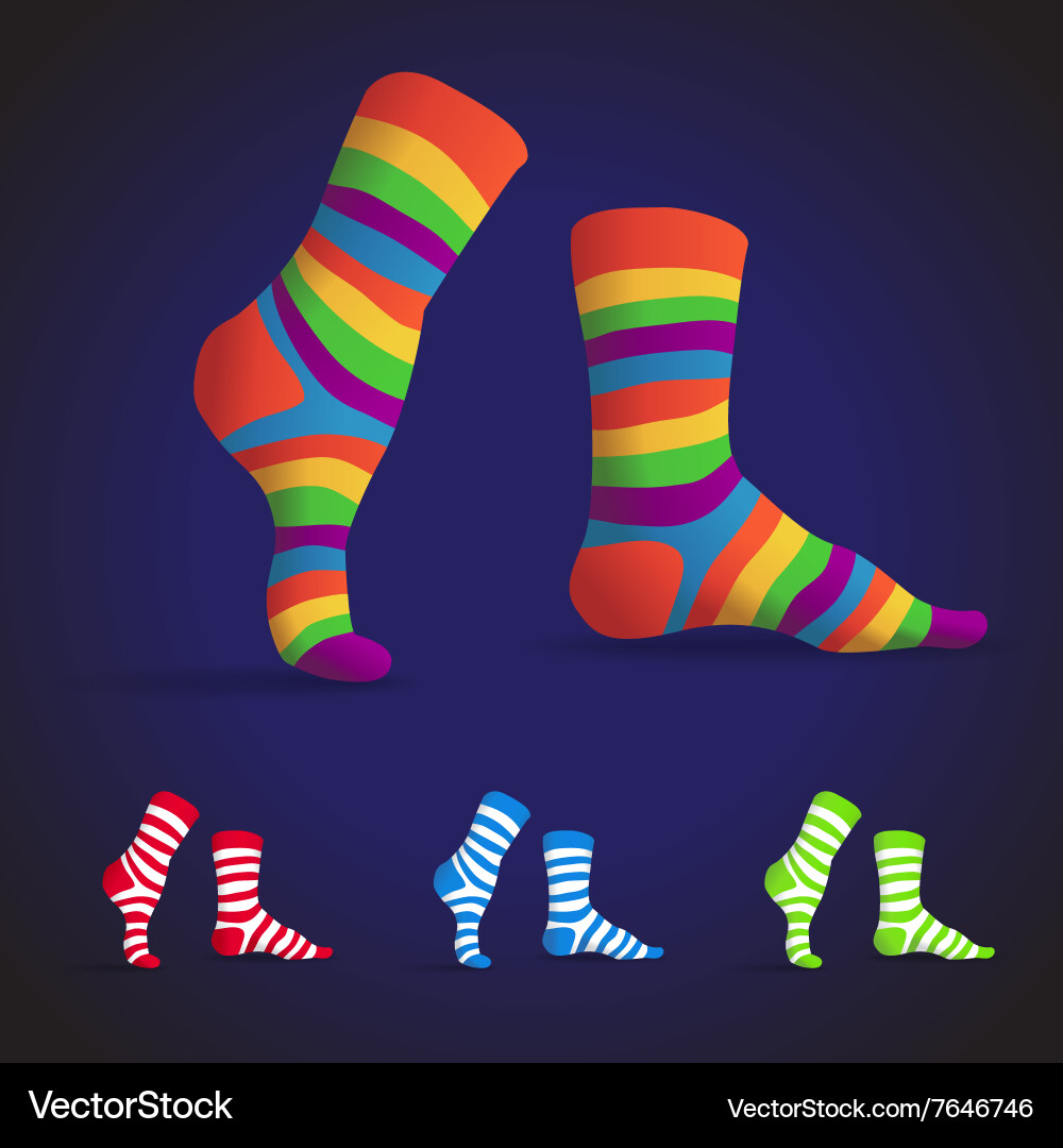 Sockssetx Royalty Free Vector Image - VectorStock