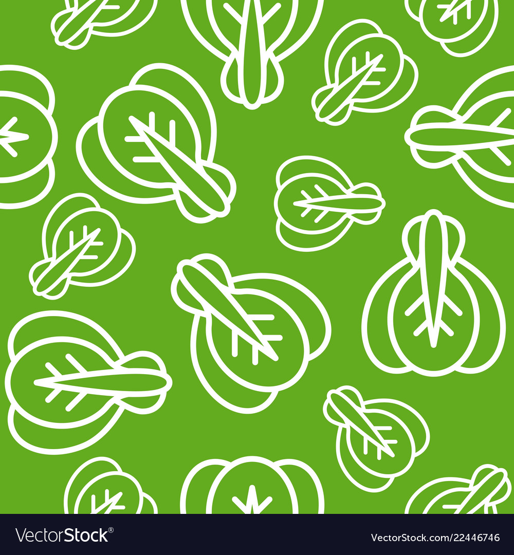 Vegetable seamless pattern bokchoy outline