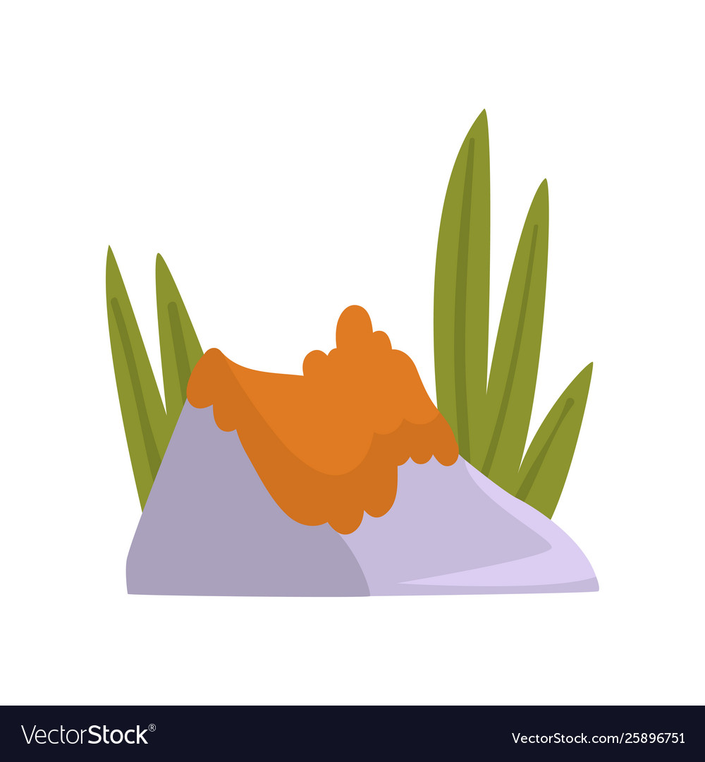 Grauer Granitstein mit orangen Moos und grün vector image Grauer Granitstein mit orangen Moos und grün
