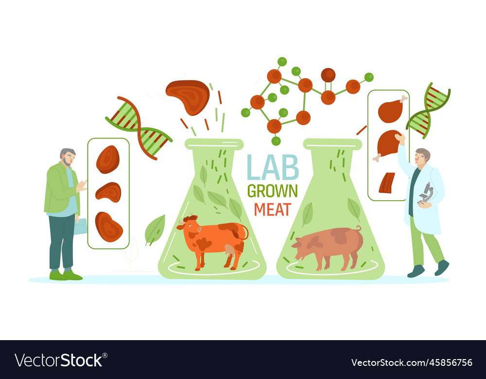 Lab grown meat horizontal image vector image Lab grown meat horizontal image