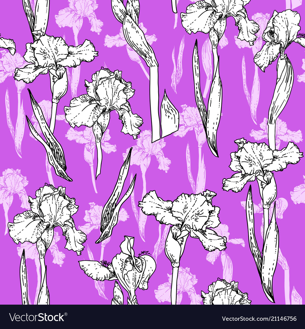 Trend violet flowers