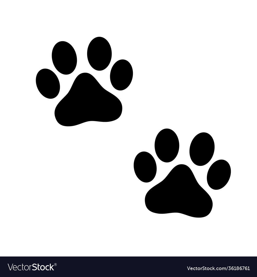 Black animal paw print isolated on white Vector Image