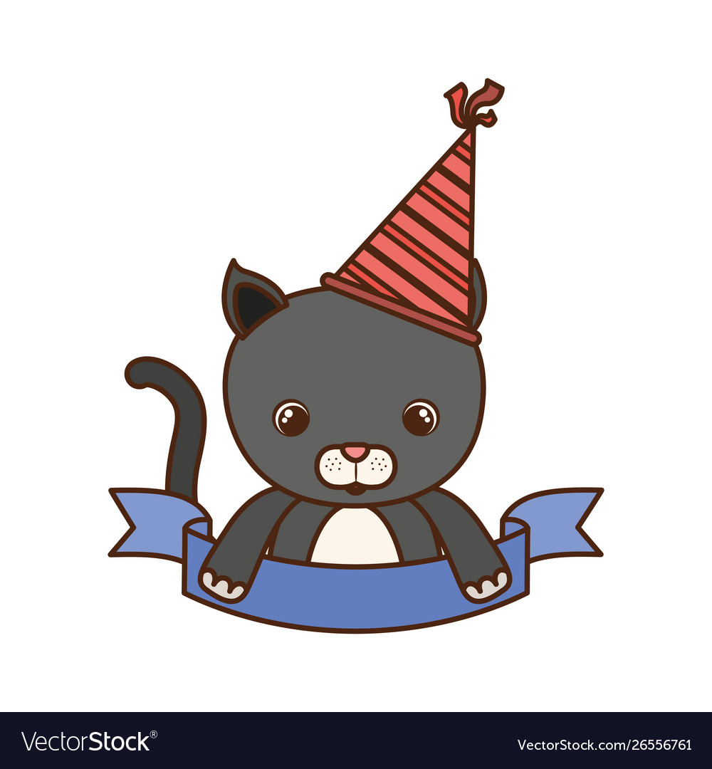 Cute cat animal with party hat on white background