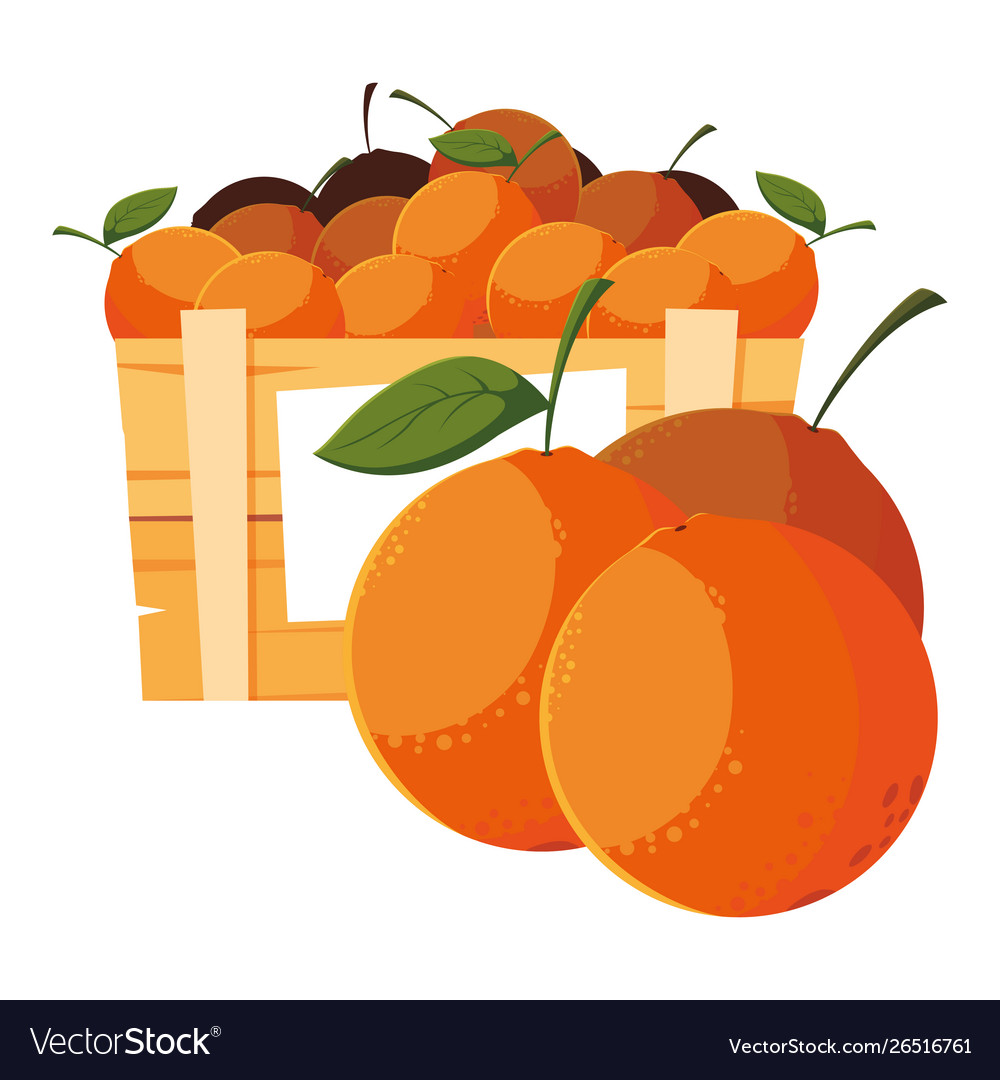 Fresh fruits in wooden basket oranges