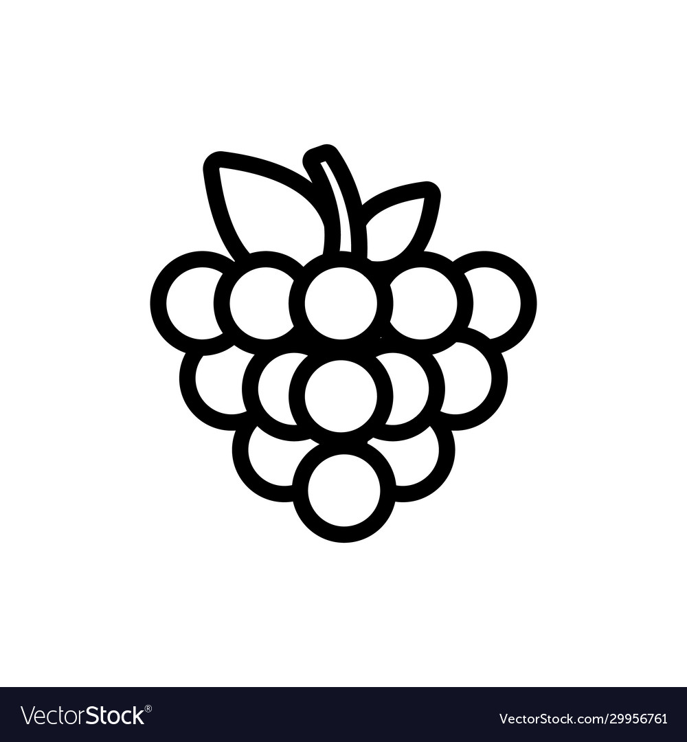 Raspberry icon isolated contour symbol vector image Raspberry icon isolated contour symbol