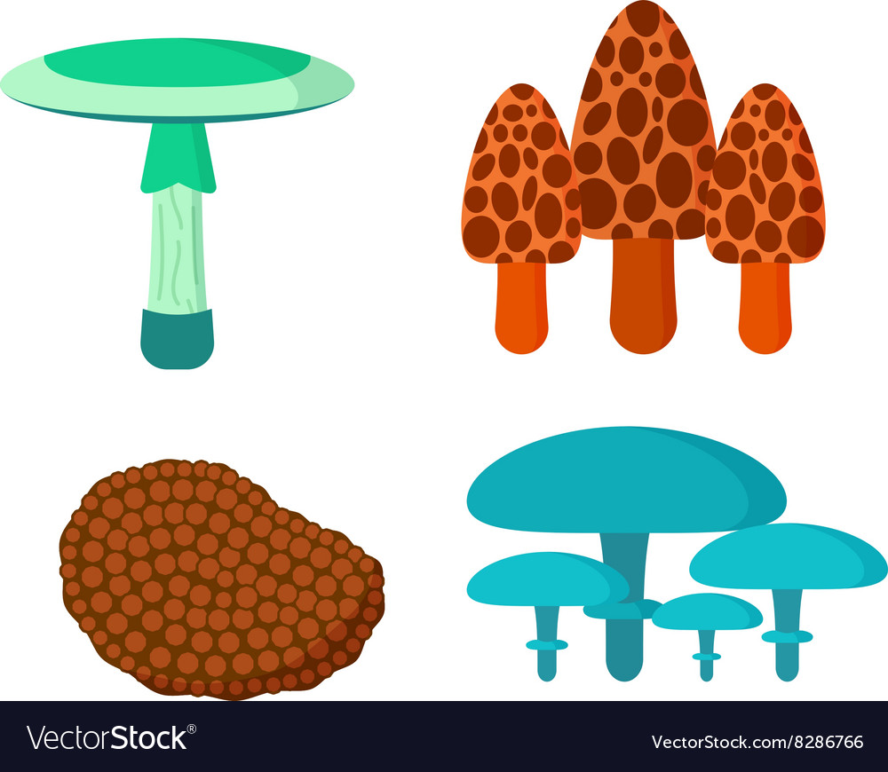 Mushrooms set different types