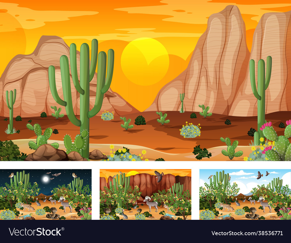 Different desert forest landscape scenes Vector Image