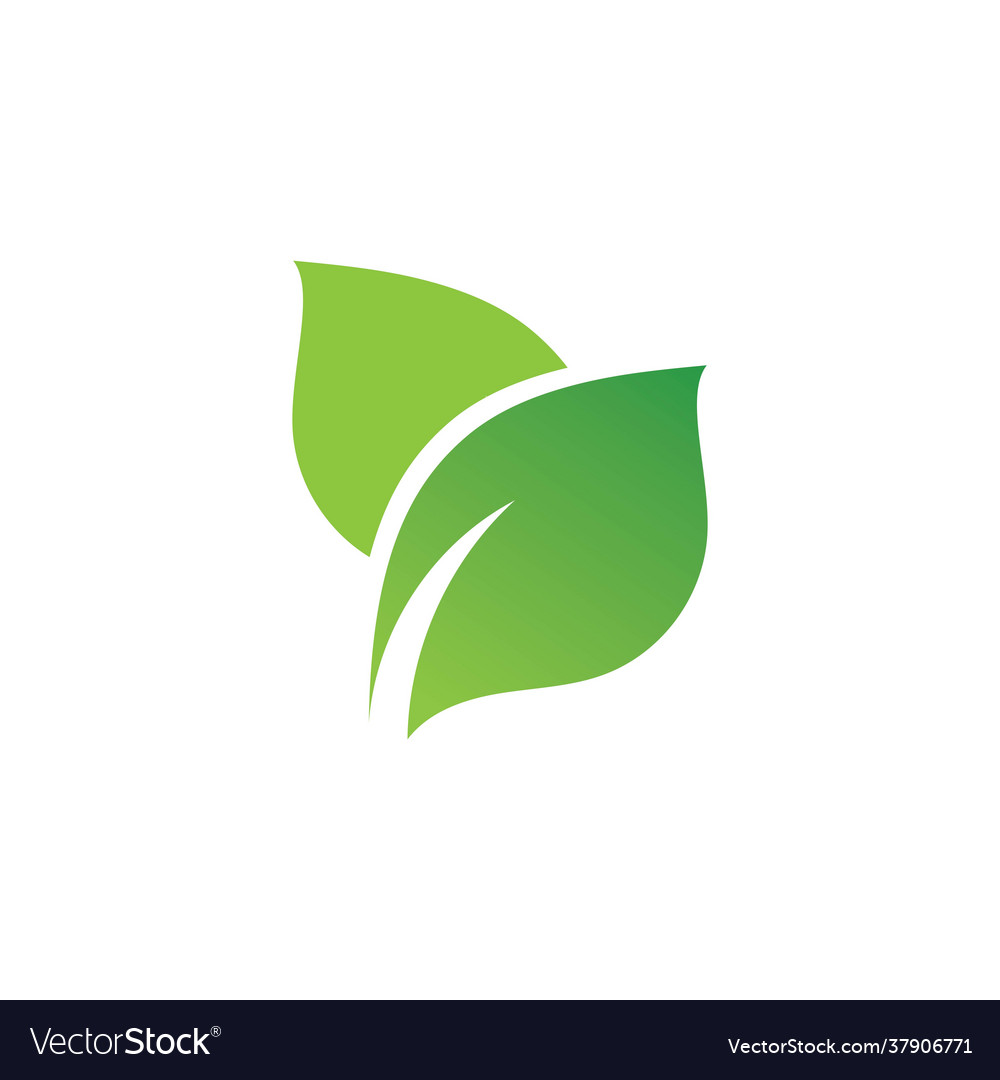 Leaf green nature logo and symbol Royalty Free Vector Image