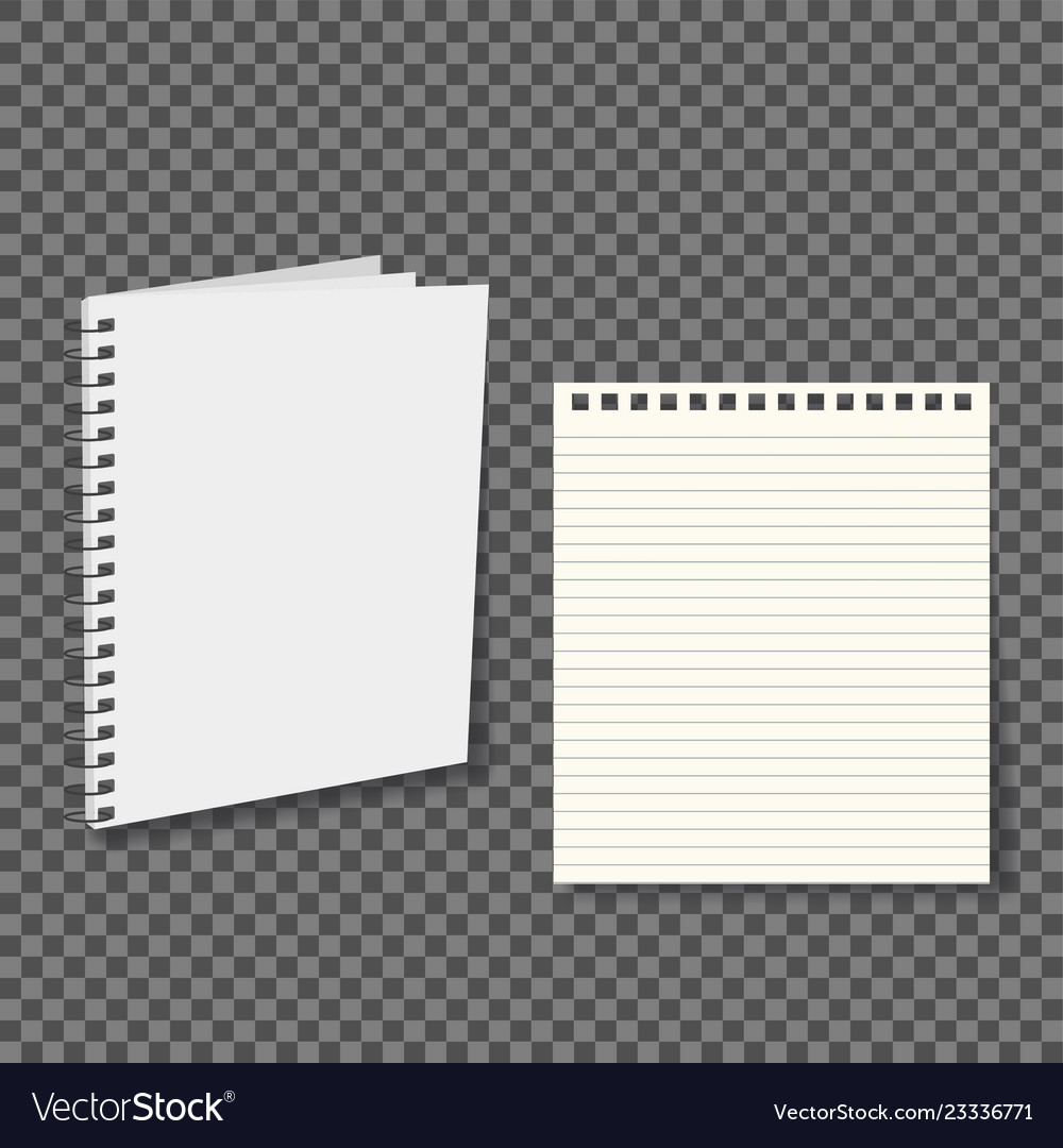 Notebook paper with lines isolated on background Vector Image Notebook paper with lines isolated on background