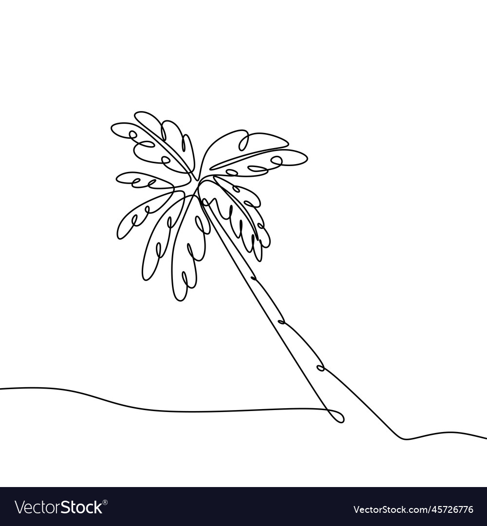 Continuous line of coconut trees
