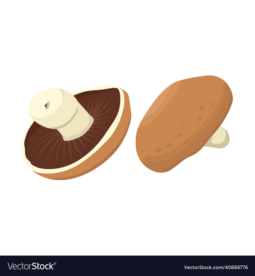 Flat of portobello mushroom isolated Royalty Free Vector
