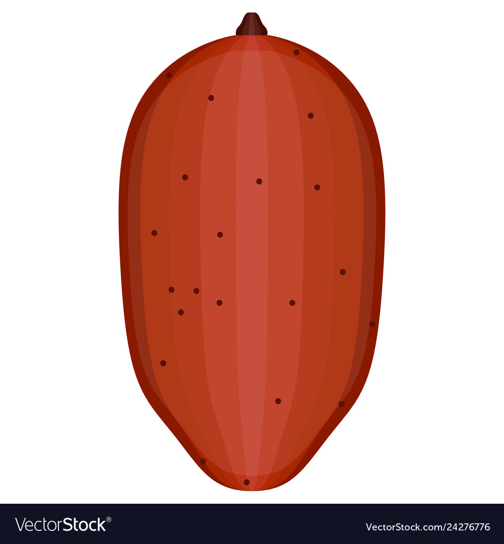 Isolated sweet potato icon Royalty Free Vector Image