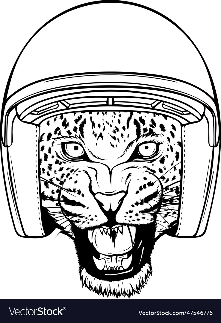 Leopard head in black and white outline Royalty Free Vector