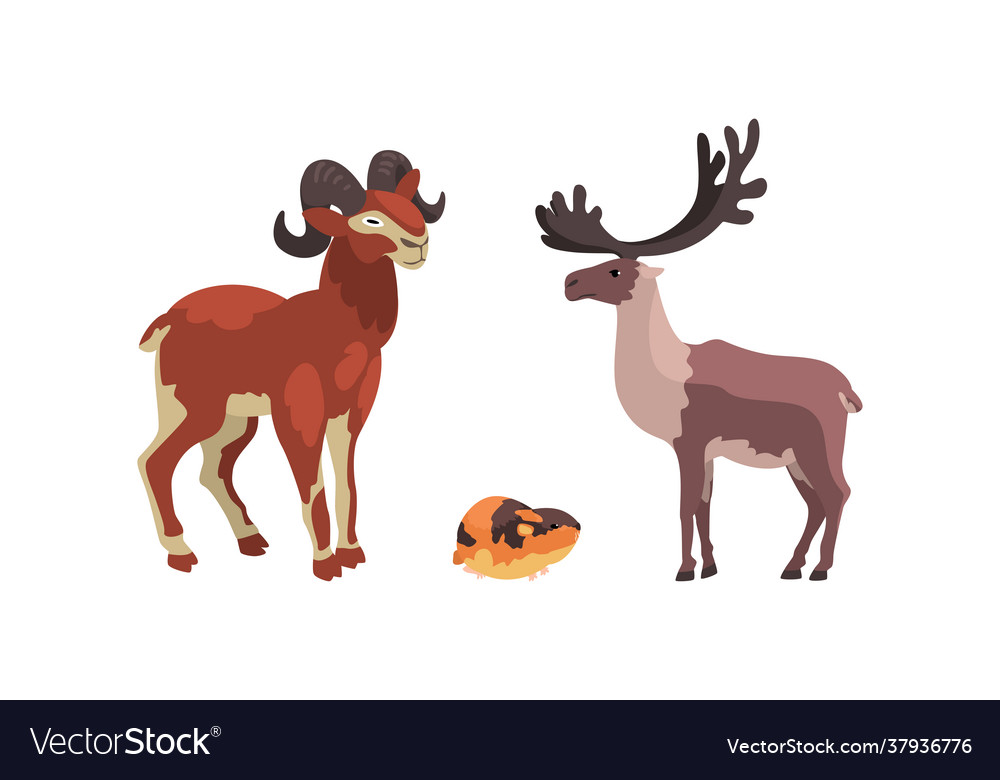 Polar animals set arctic reindeer lemming Vector Image Polar animals set arctic reindeer lemming Vector Image