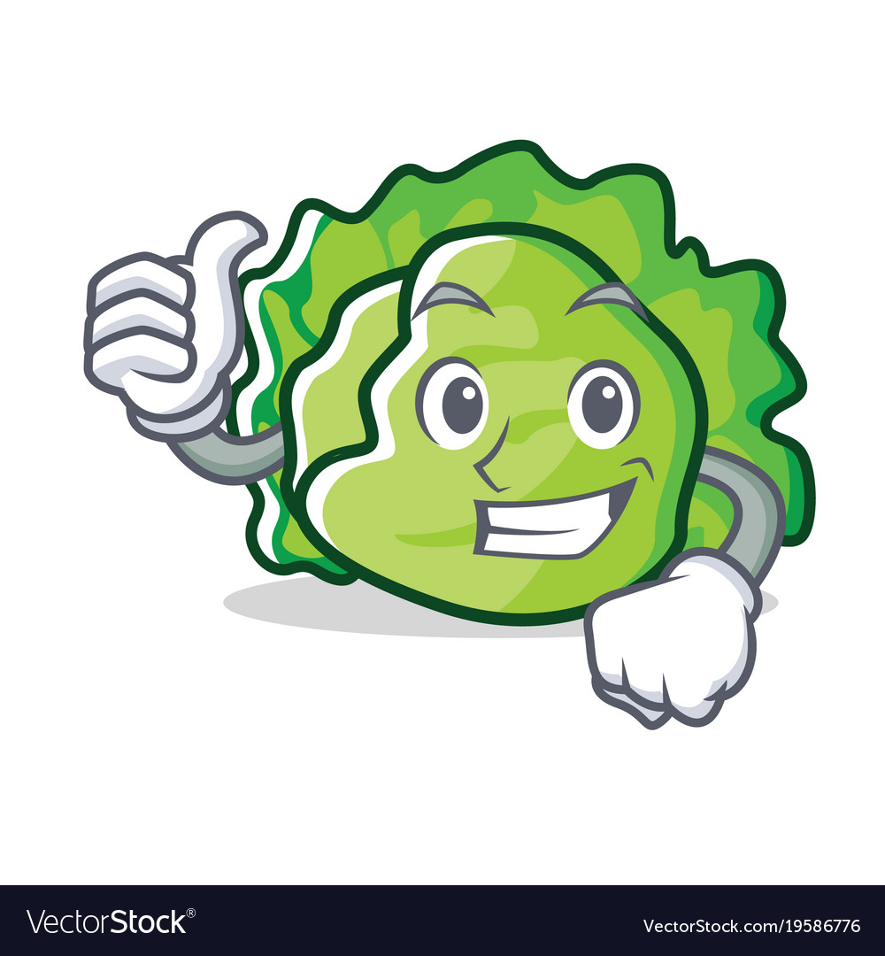 Thumbs Up Lettuce Character Cartoon Style Vector Image Thumbs Up Lettuce Character Cartoon Style Vector Image