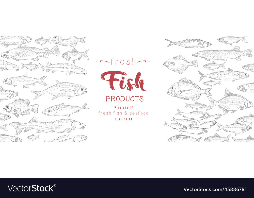 Cover template of the booklet fish products