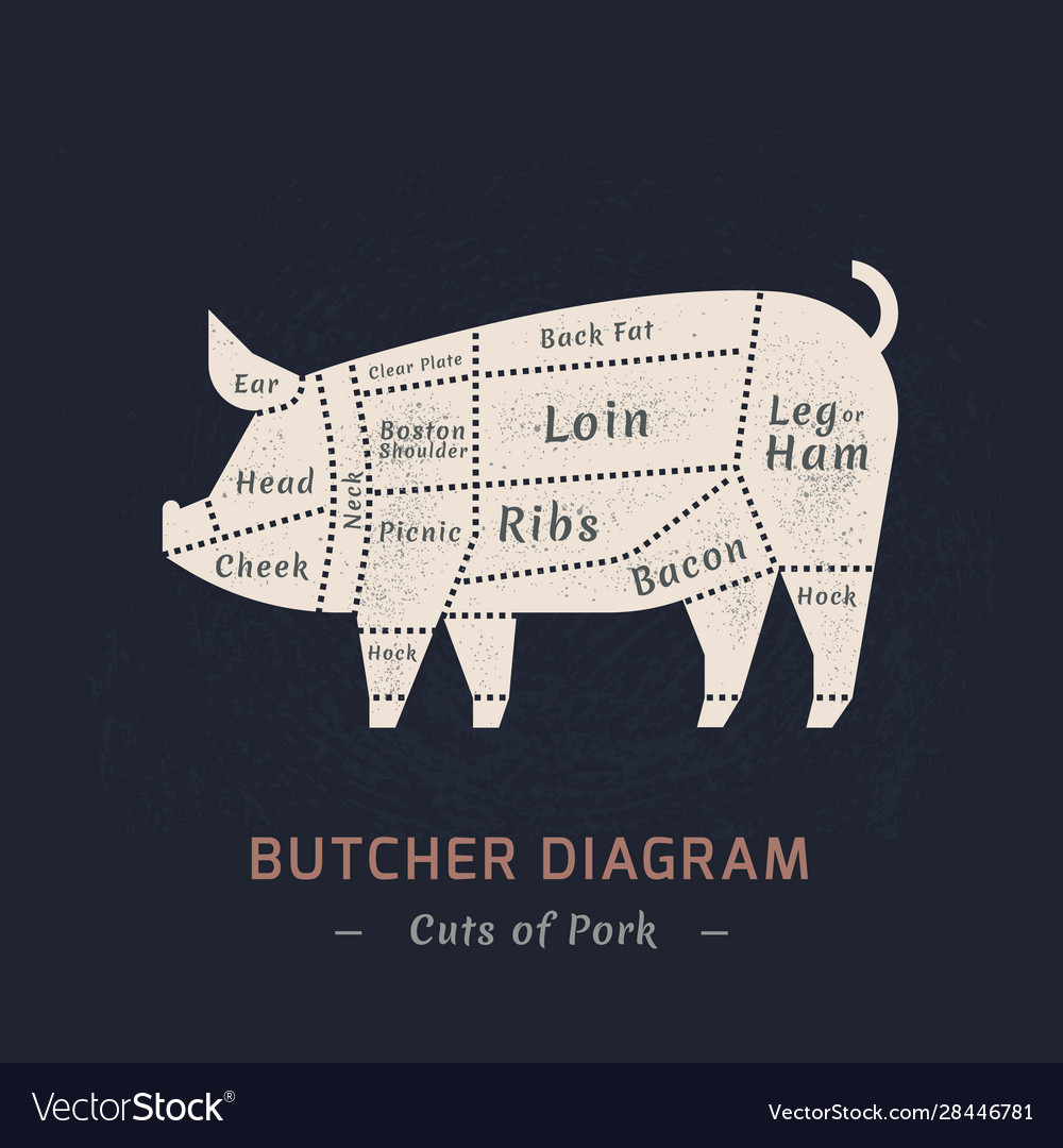 Cutting pig meat painted Royalty Free Vector Image