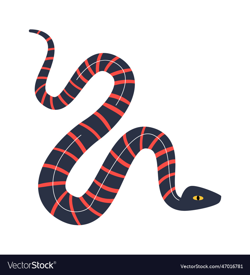 Striped Snake Reptile Royalty Free Vector Image Striped Snake Reptile Royalty Free Vector Image
