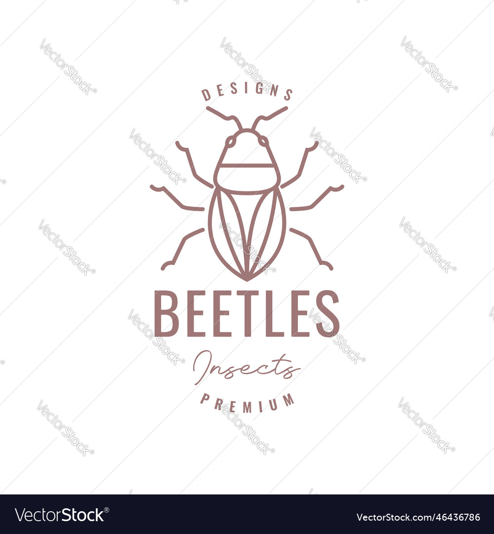 Animal insect scarabs beetle line art hipster Vector Image