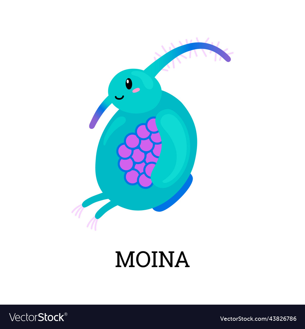 Moina crustacean microorganism or animal flat Vector Image