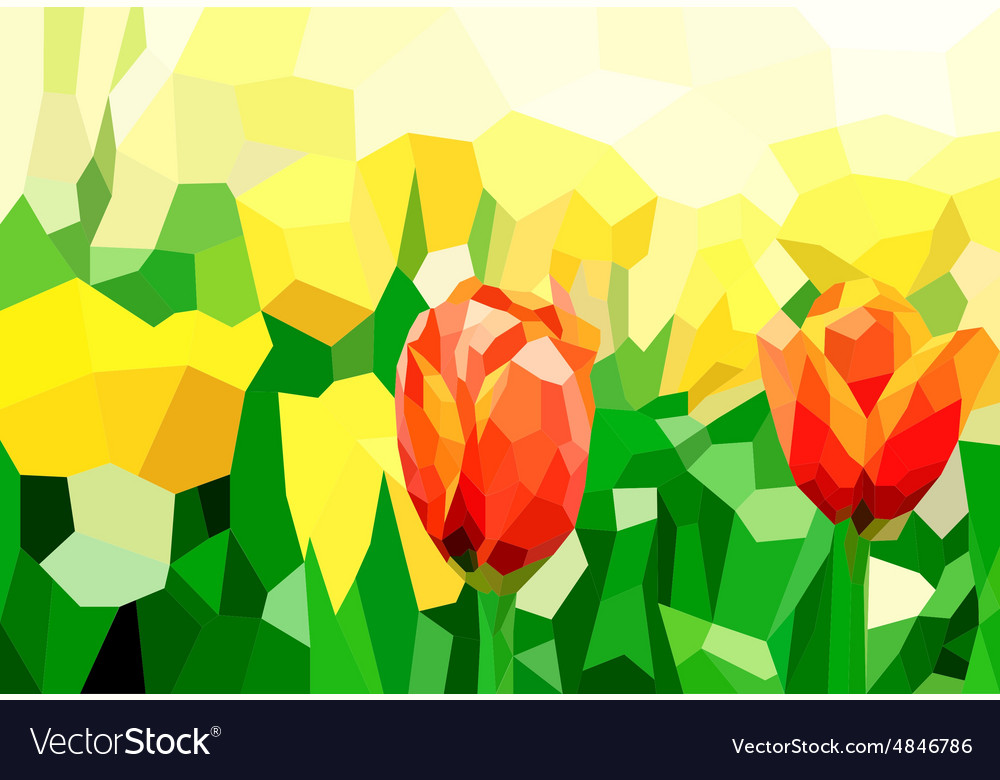 Poly tulip