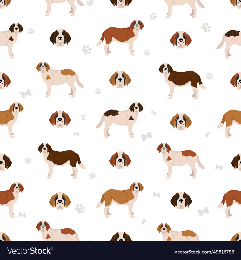 St bernard shorthaired coat colors different Vector Image