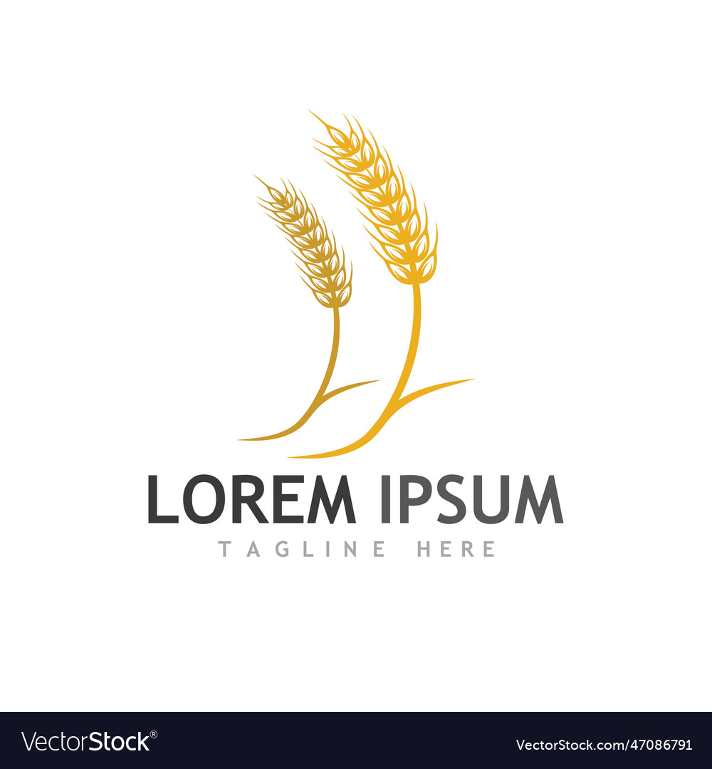 Agriculture Wheat Royalty Free Vector Image - Vectorstock