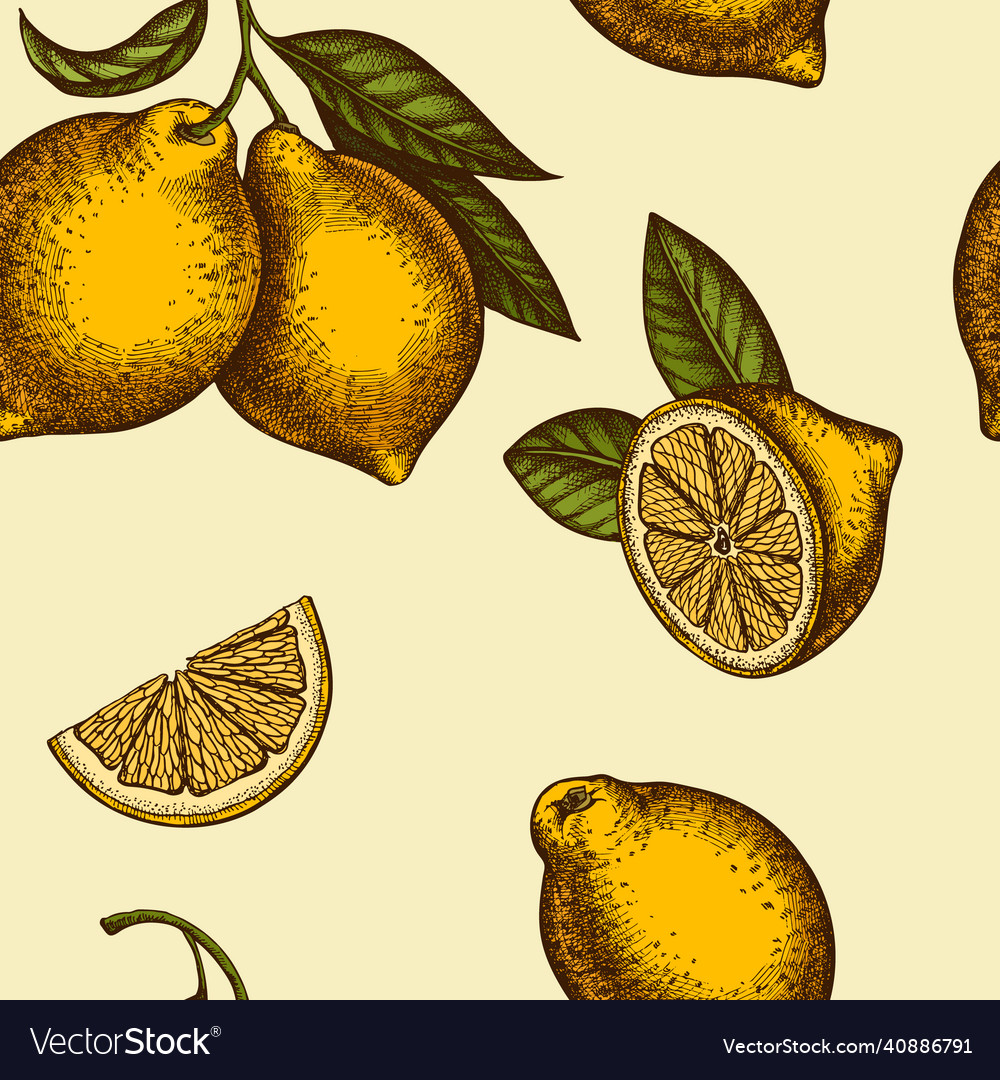 Citrus seamless pattern background design vector image Citrus seamless pattern background design