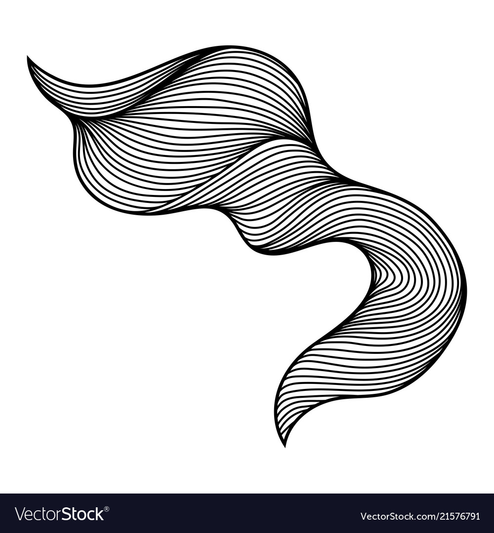 Fluid Curl Wave