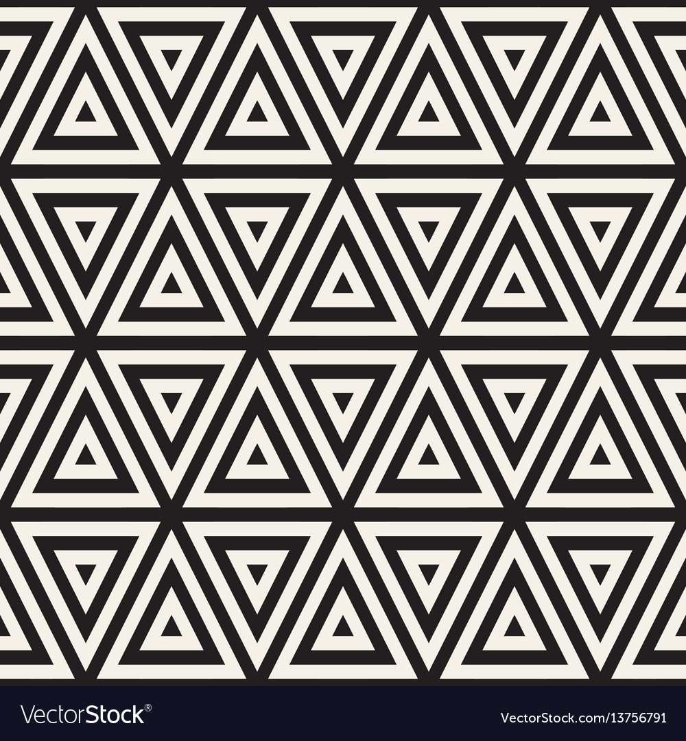 Stylish minimalistic triangle shape lines grid vector image Stylish minimalistic triangle shape lines grid