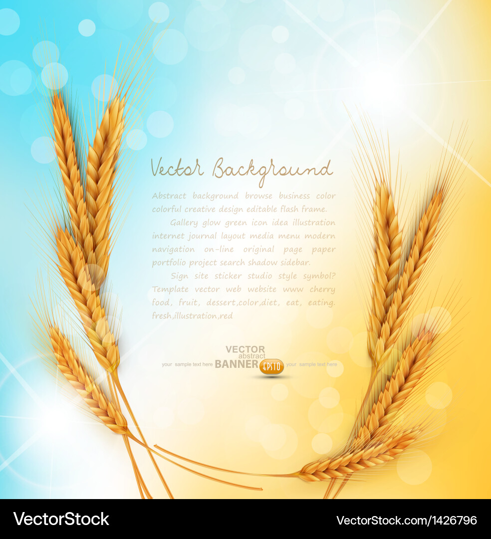 Background with ears wheat Royalty Free Vector Image