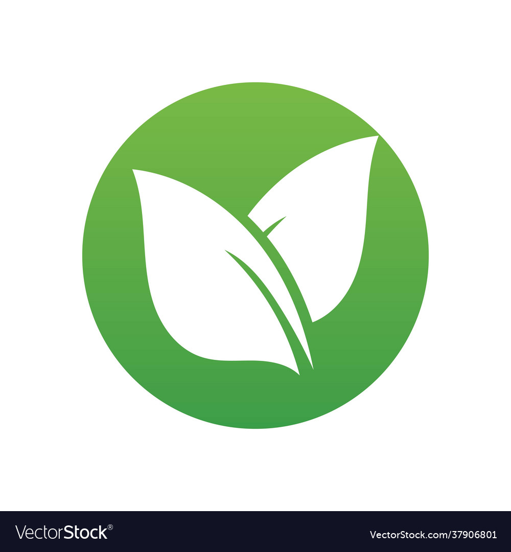 Leaf green nature logo and symbol Royalty Free Vector Image