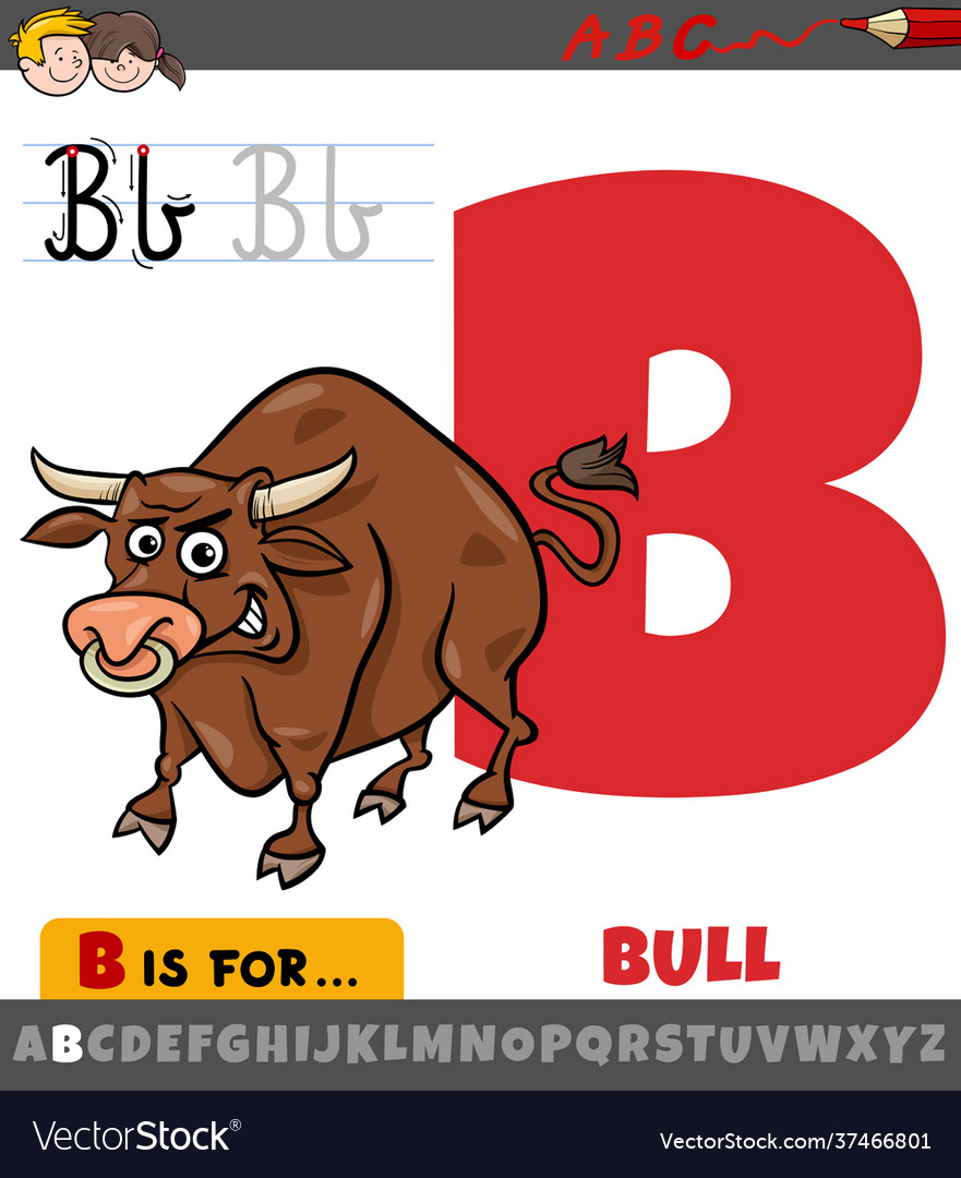 Letter b from alphabet with cartoon bull animal Vector Image